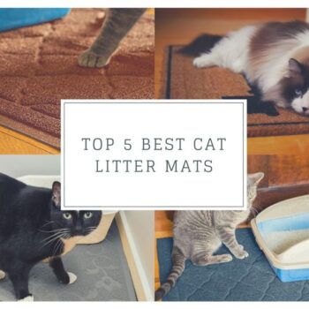 Top 5 Best Cat Litter Mats