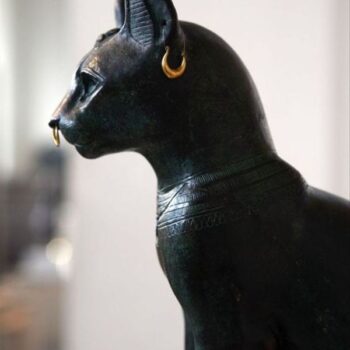 Egyptian Cat Names Inspired by Ancient Times