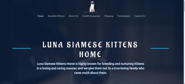 Luna Siamese Kittens Home