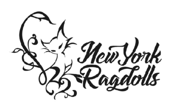New York Ragdolls