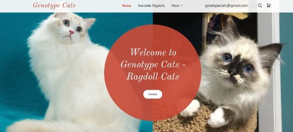 Genotype Cats
